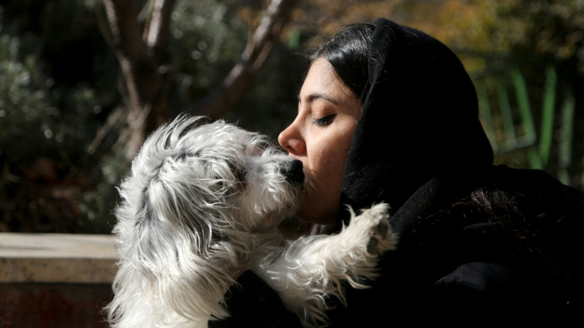 Zakaz wyprowadzania psów w kolejnych miastach. Zwierzęta uznano za "nieczyste"