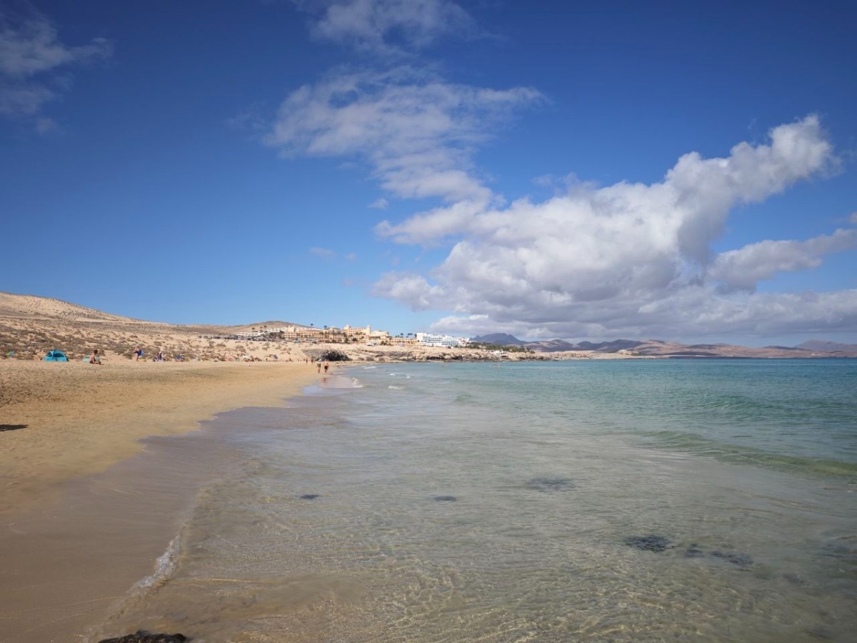 e1ff82e4-9384-48a0-bfbd-75f0d2a0a541