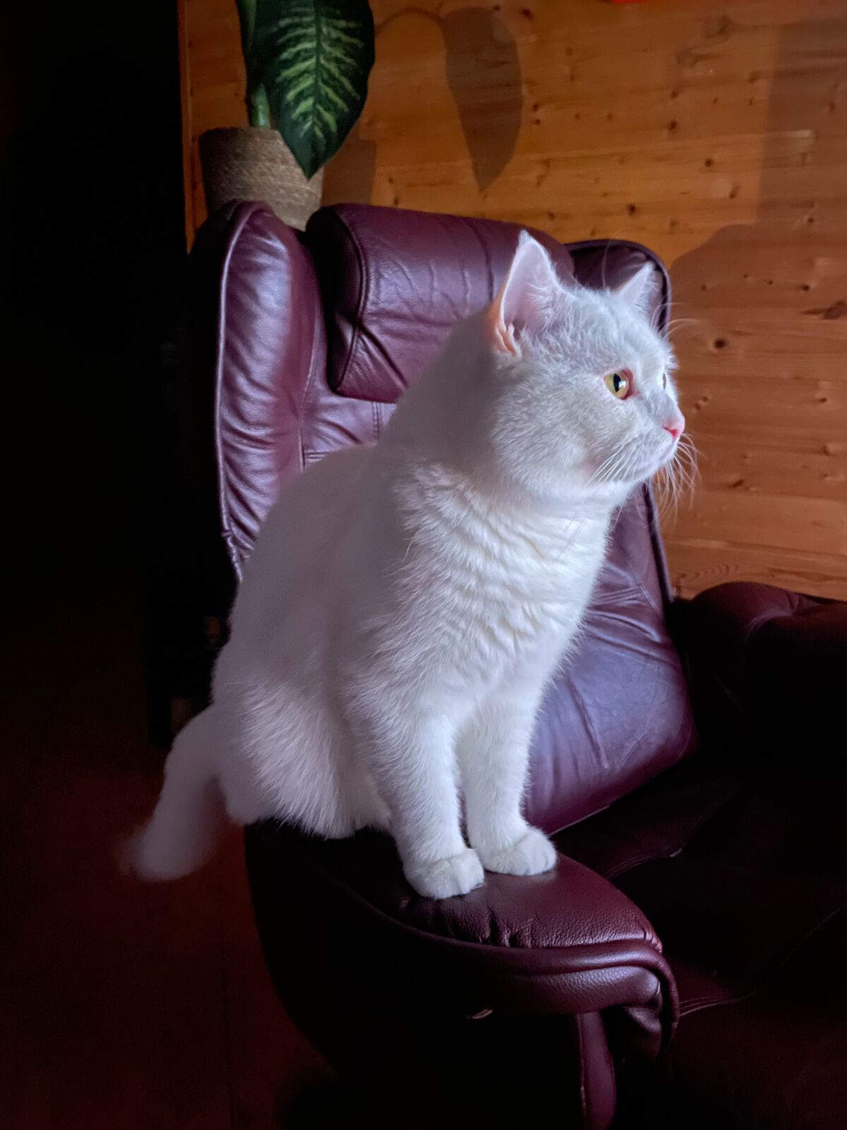 a36f56b8-d120-45d1-9542-20d4eeec1401