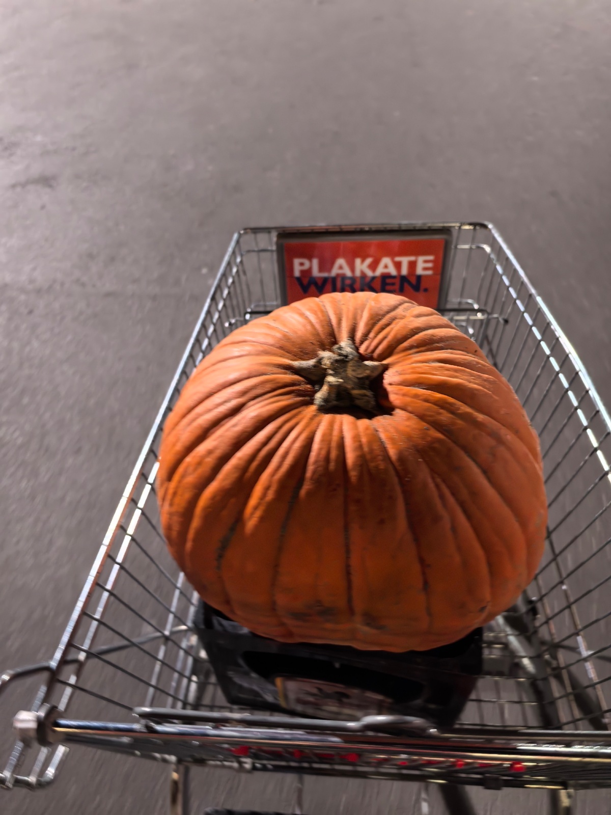 cab3afef-2a09-474a-a1e0-372c05574499