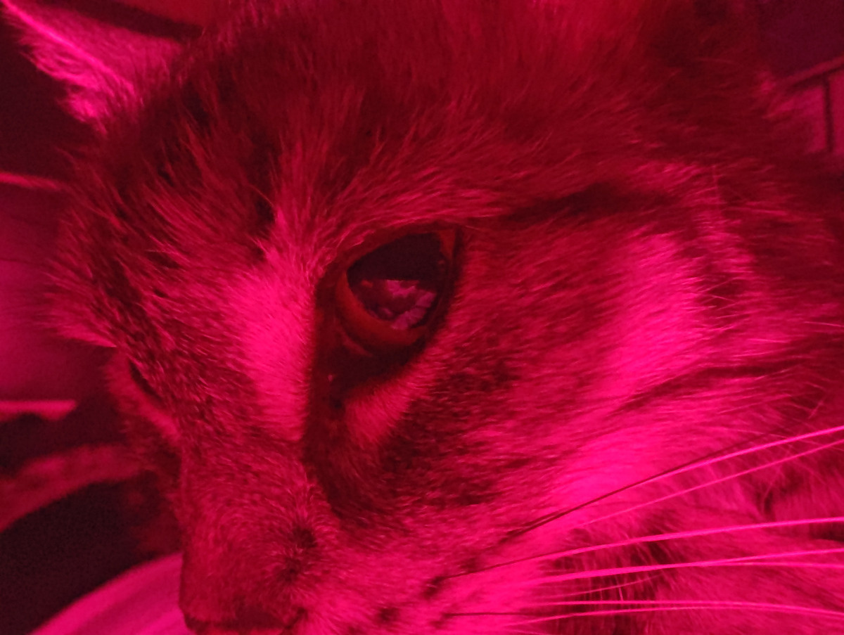 de6d3c24-4eba-4a6b-b5b2-3f3688cf77bb