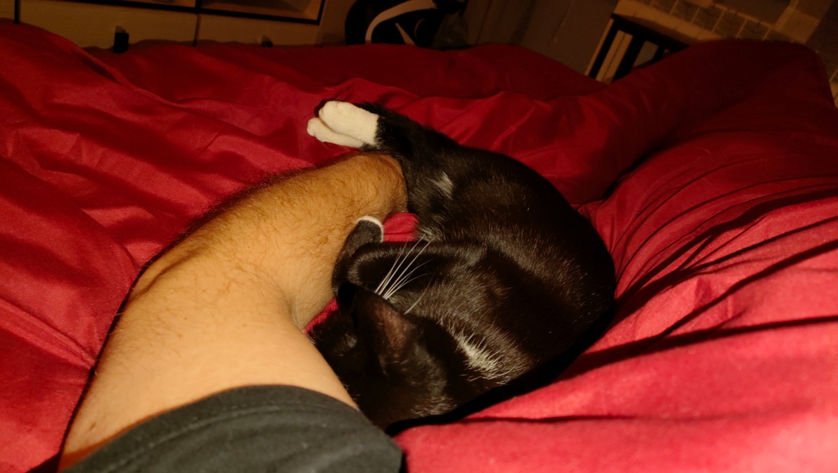 69a5cef9-d92c-4207-b9e7-e03e94475121