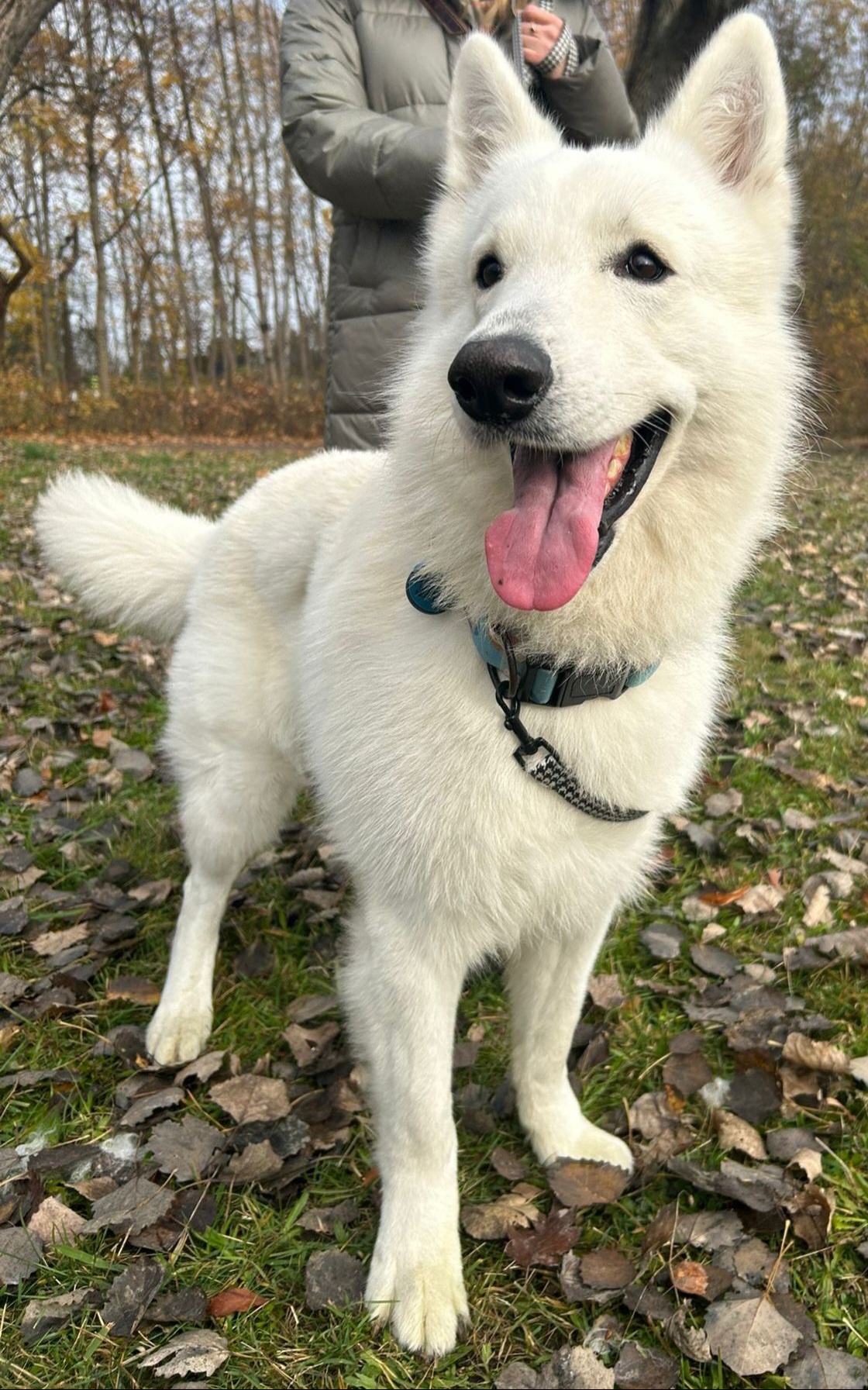 e12e3aff-01e8-4b89-8aca-8db9f228d638