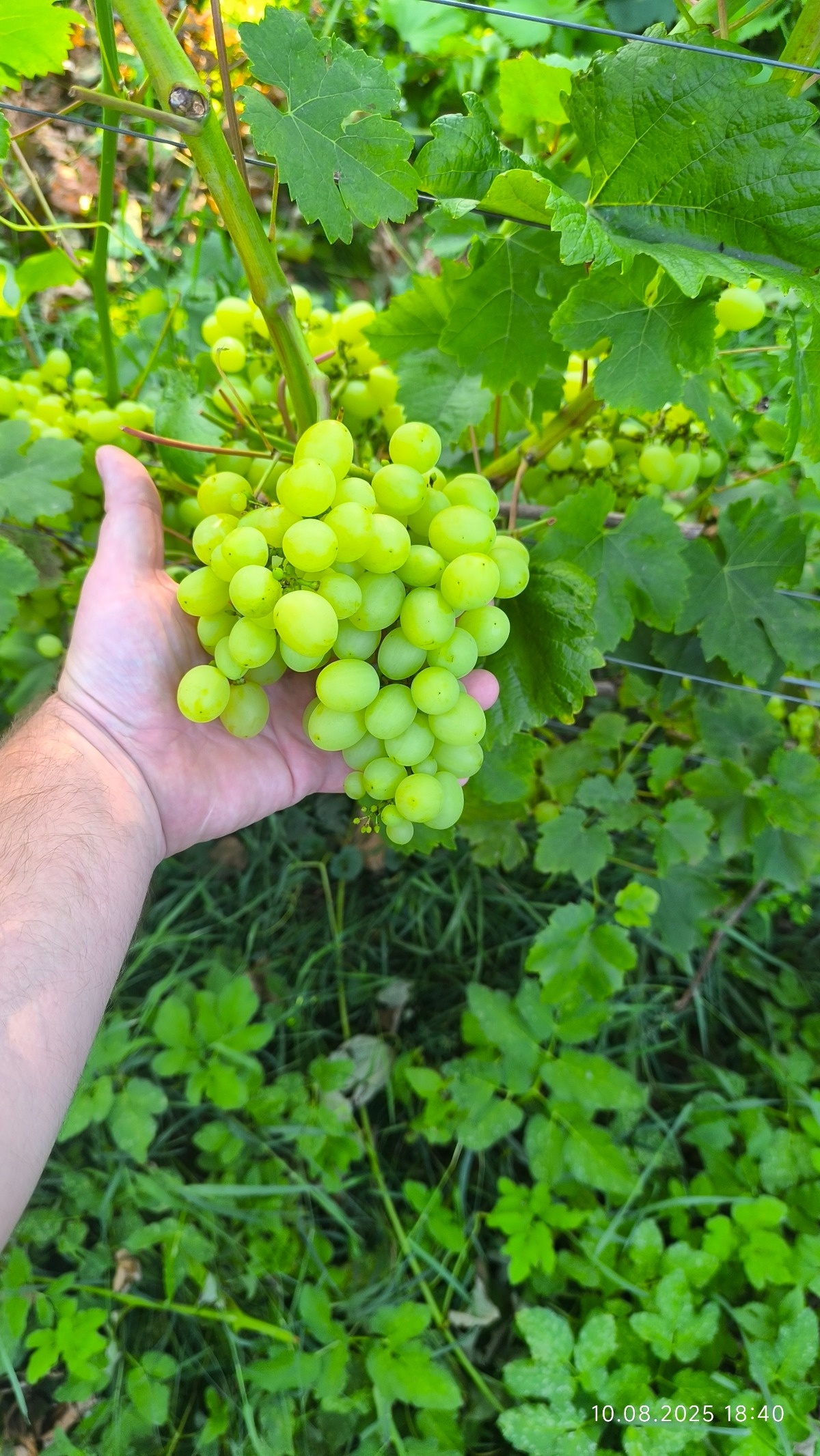 432a7647-9c66-4371-aa73-0bd863c46105