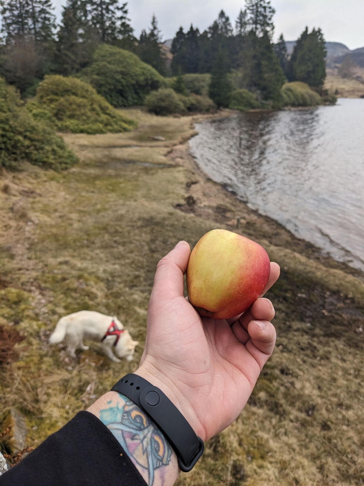 00226892-9ccd-4201-ae60-88733d8dc174