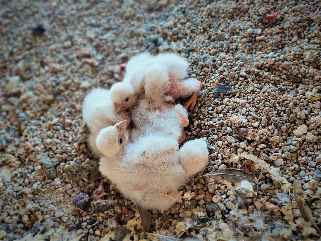 5a43f14e-113d-444c-90be-245ec48be0bd