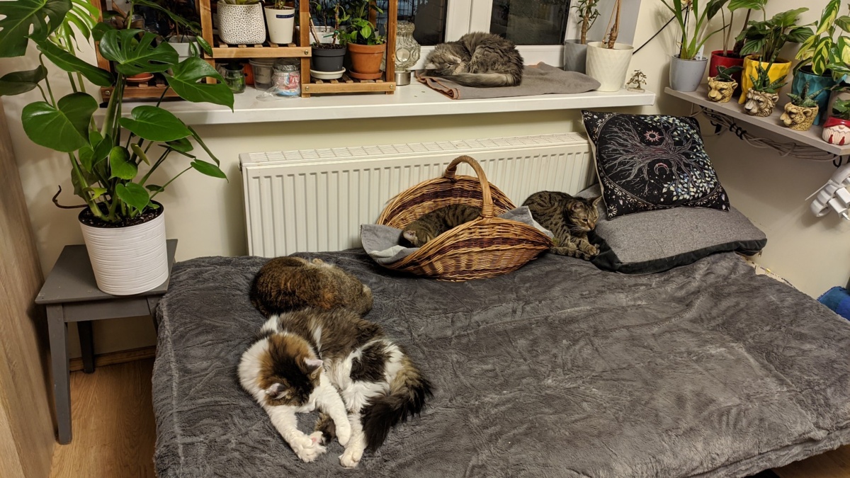 6bad1212-f34c-48af-a80d-717871377249