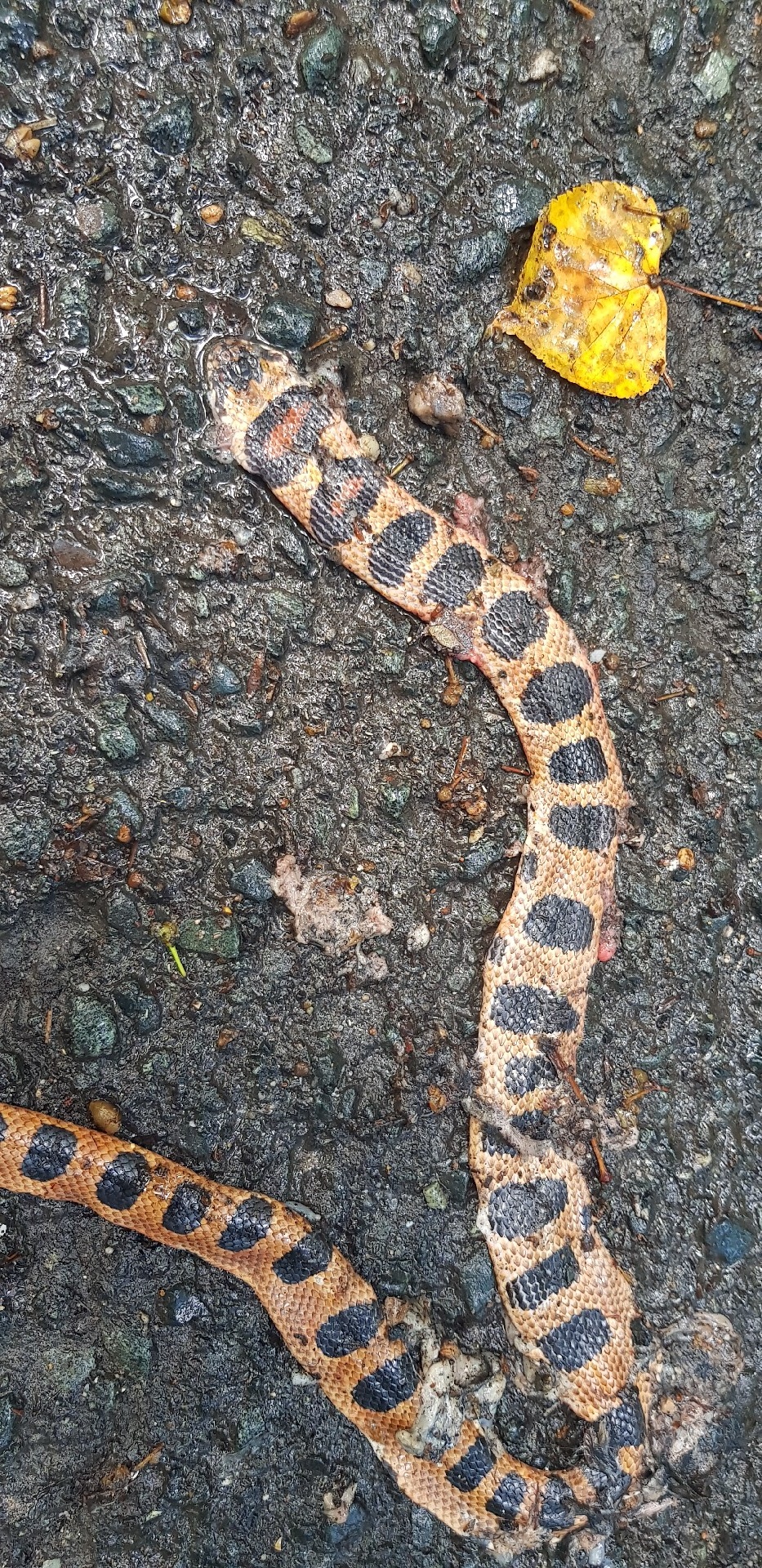 4747b159-9083-4ba5-bf5d-9c1bd4d98a16