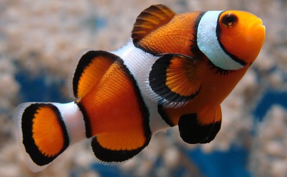 22c68941-bde5-4842-9972-64fafe5d50af