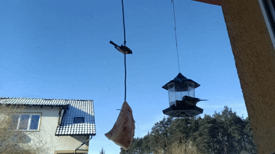 7800f383-8bc8-4907-adf5-5c3e774e9d8f