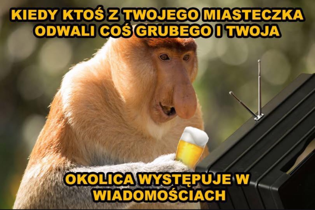 cba306e5-c488-4867-a70b-0ec89124e1ac