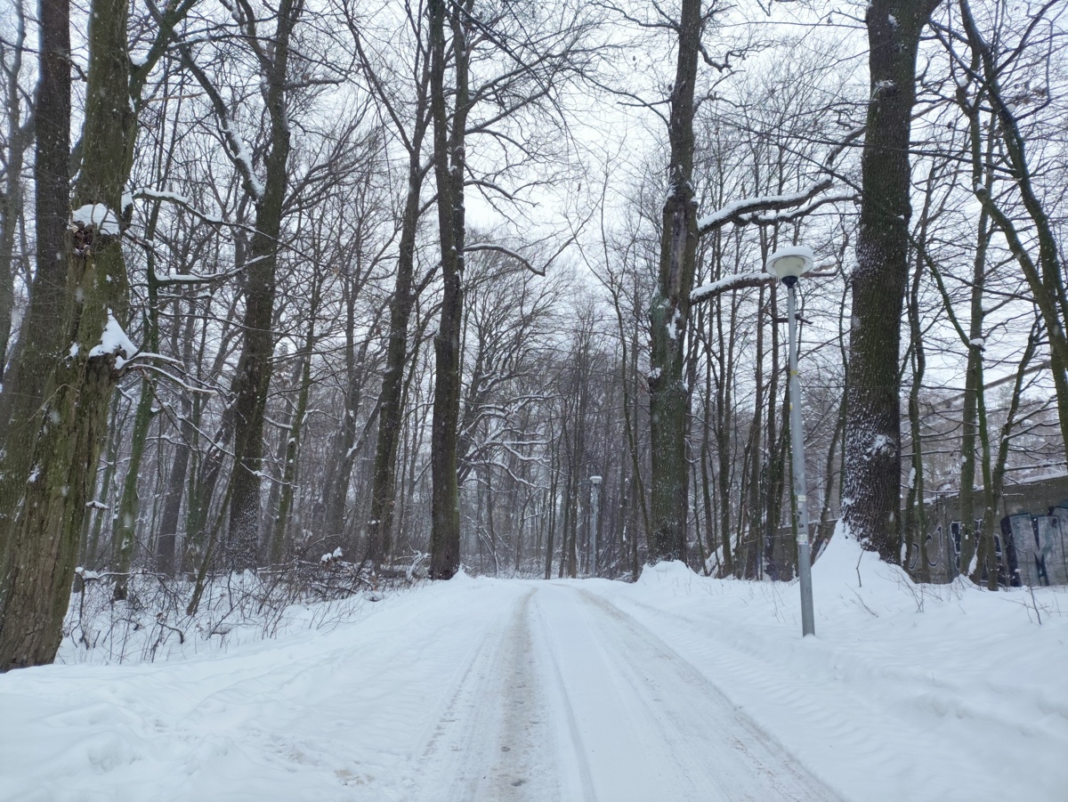 0f318cdc-e8c8-4ea5-b9a9-88d85a1ae12e