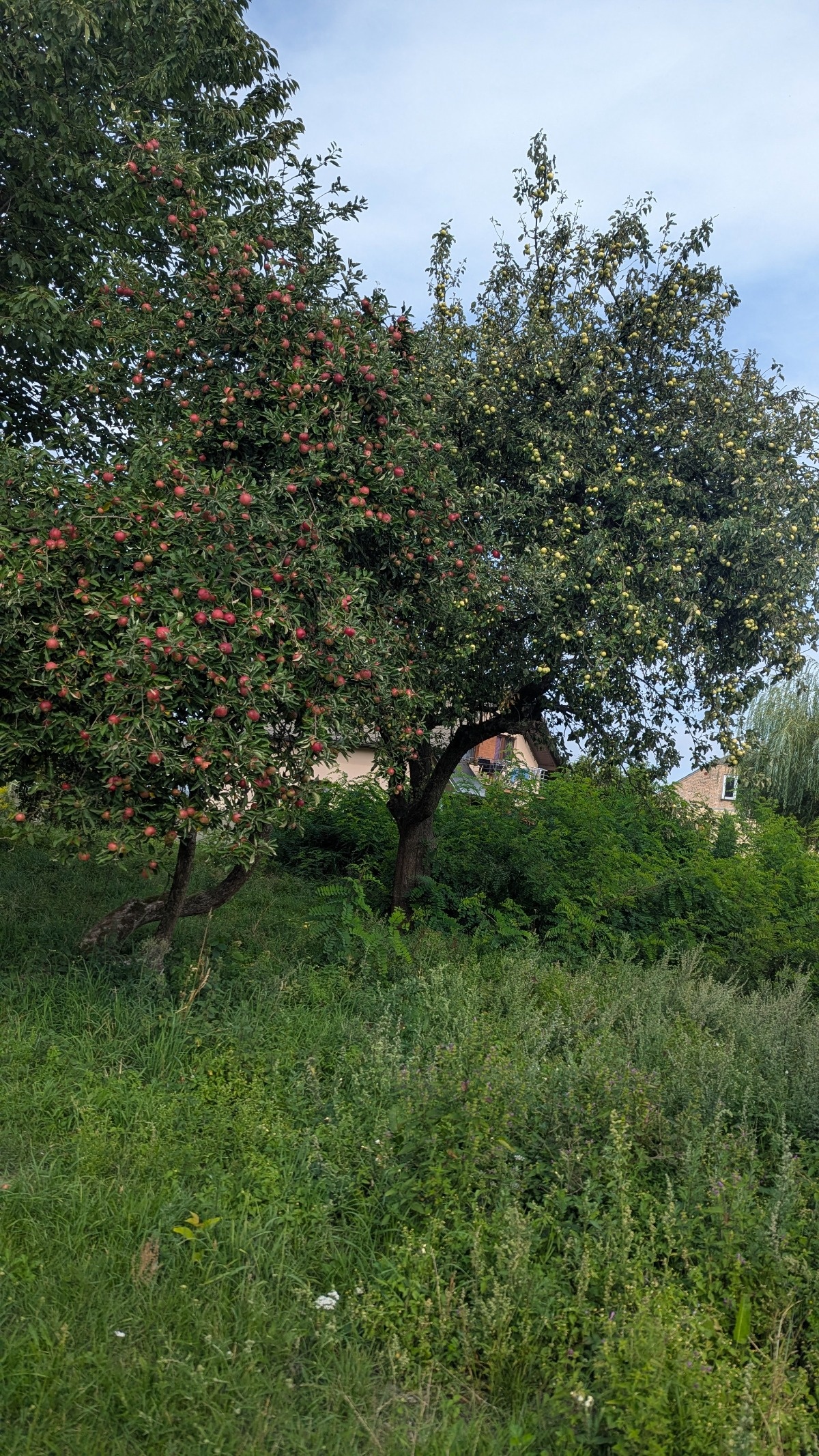 6a027faa-d013-46eb-af86-a20d6bf48566