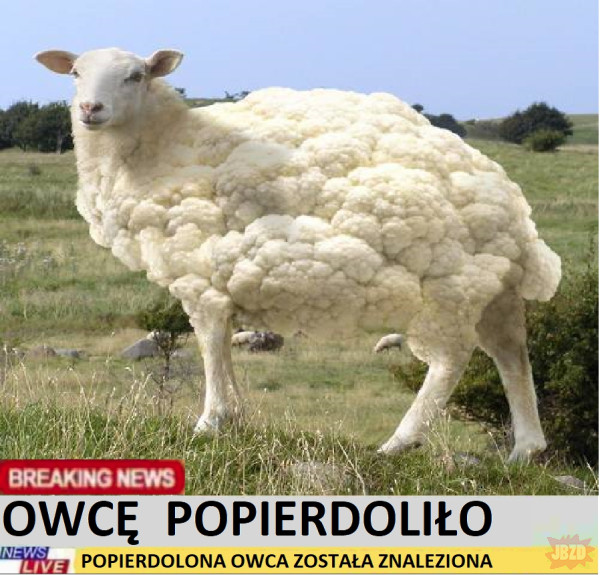 58637c70-990f-4315-8dc9-dfb60ad9b14d