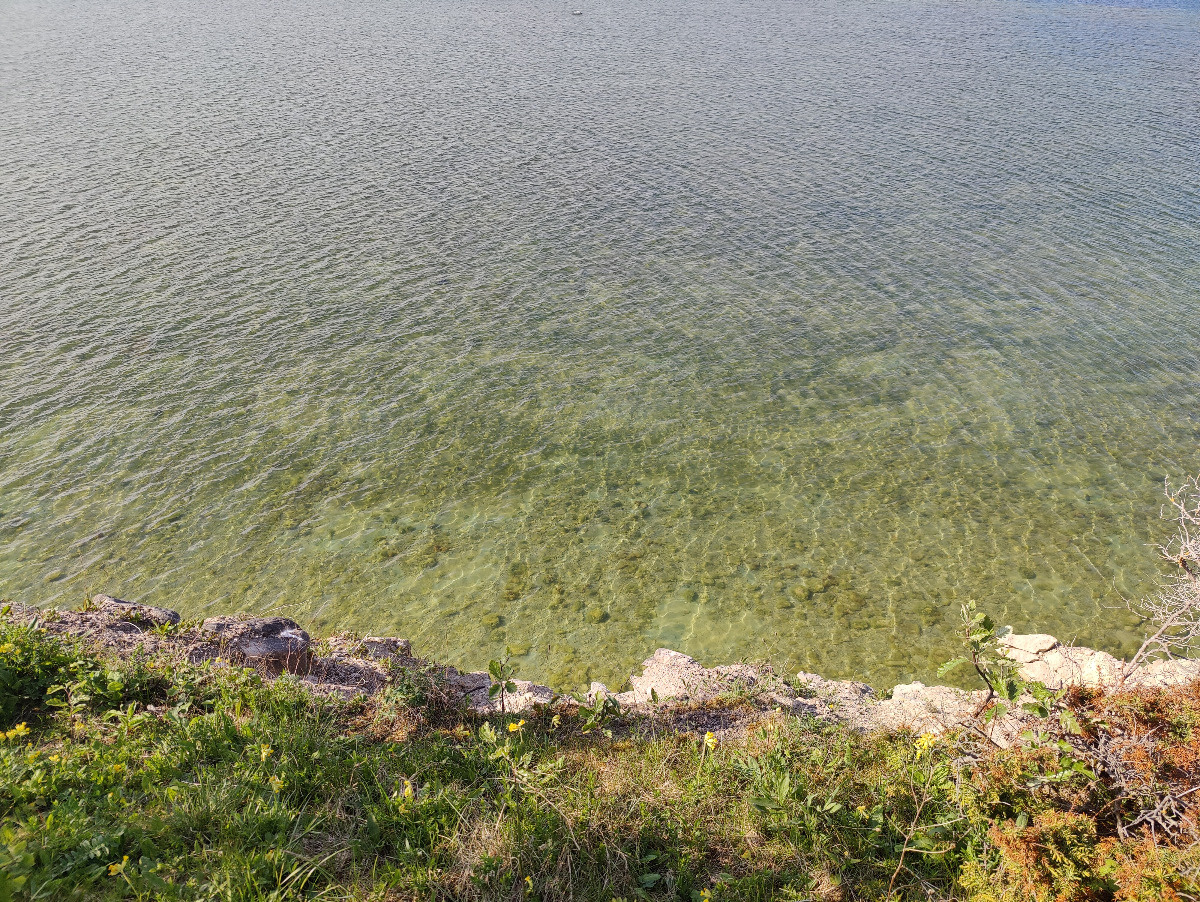 IMG20260602172819.jpg