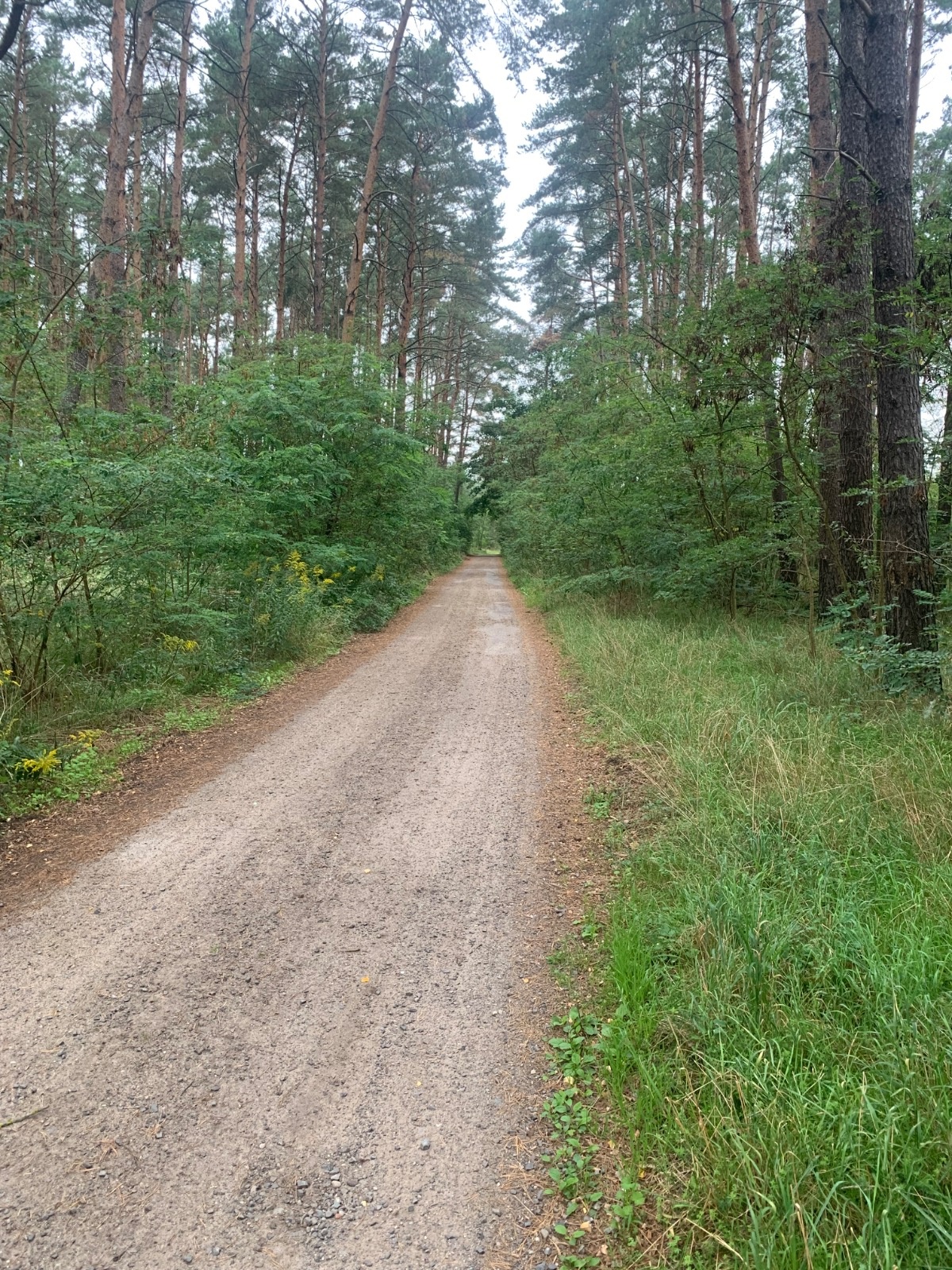 a17a8dd1-3ef4-4403-834f-bdb0452495be