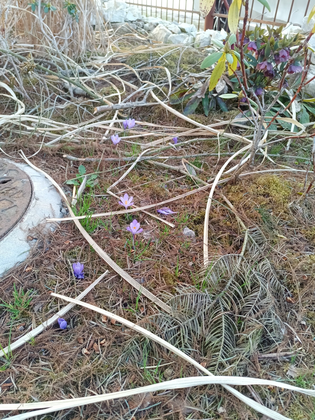 419ff07e-40ec-4e0e-a10c-b36175346cbc