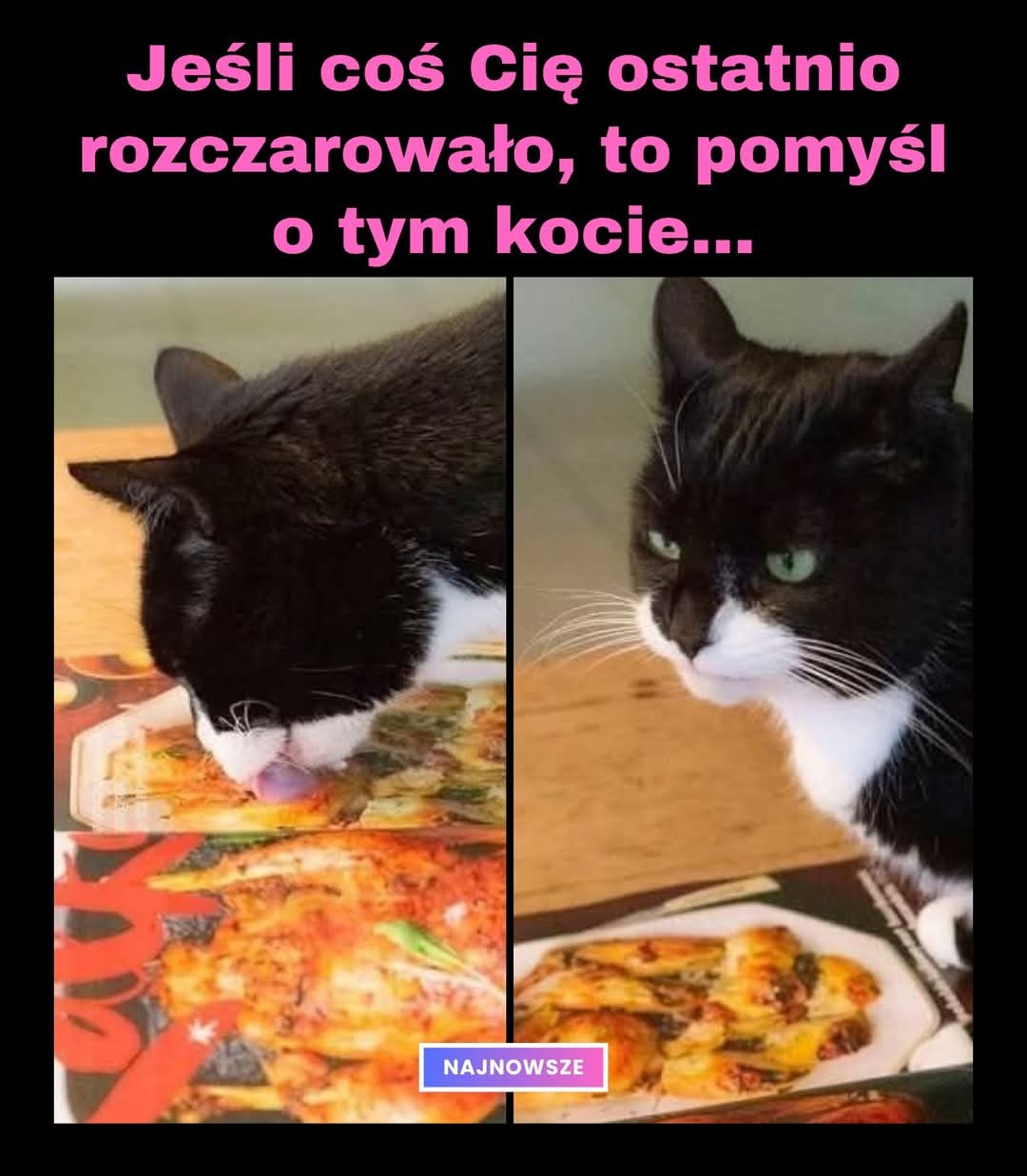 ef129a01-6bb8-4a2a-abf5-9d21104dad64