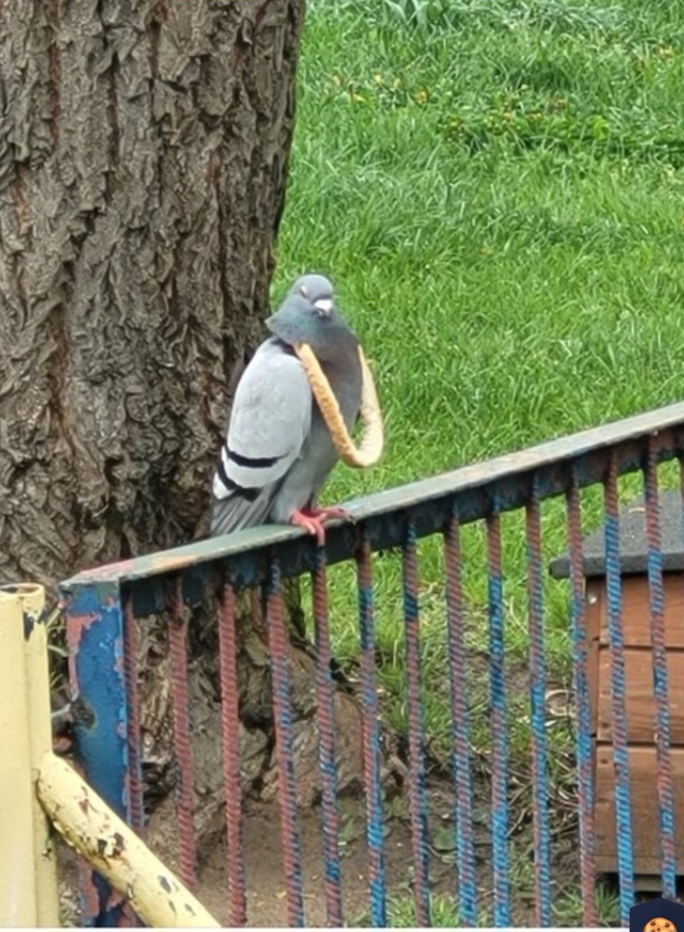 a4d5a070-998e-41ce-b947-a3a699413bb4