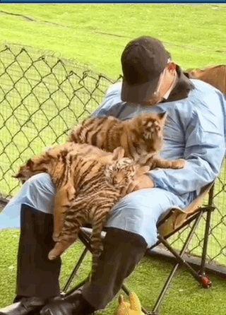 9c3c5f0a-f6fe-41db-a6ac-031a05ff2d09