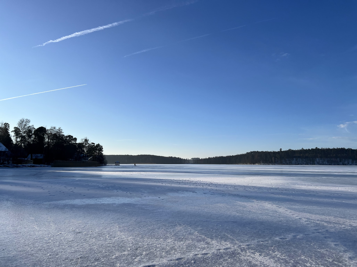 a36a5dea-7b6b-453d-bfe8-eb8e3d231d5f