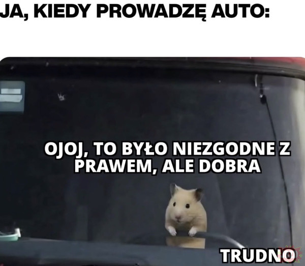 6a9863a0-41d1-4193-a9f3-89361bf21567