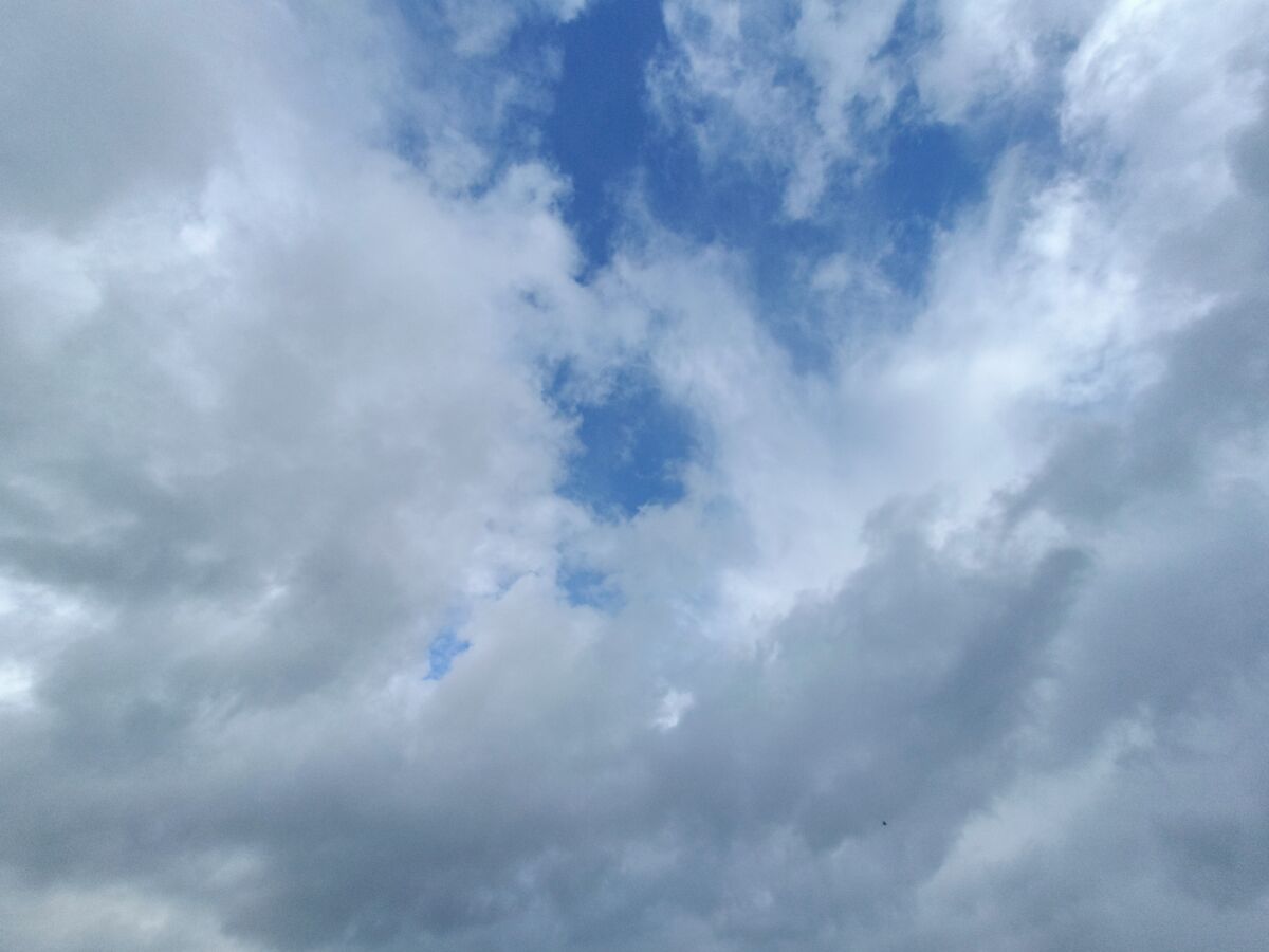 bd2e42cd-d86c-4cb7-a7b4-be54cae24c60