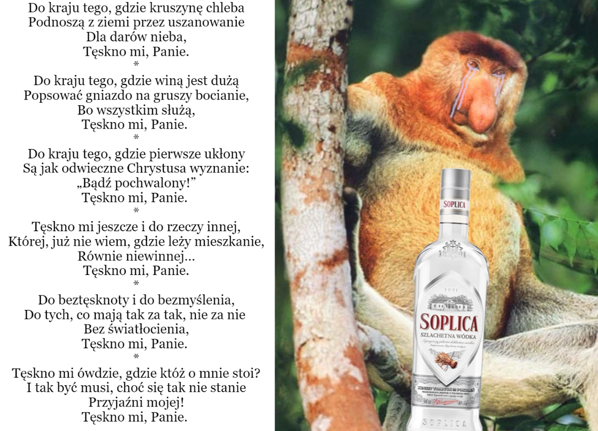 866b42ce-bbc0-4c46-b97f-9902fed6bceb