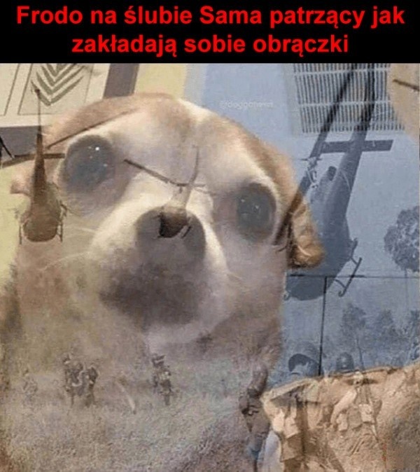 a323ca89-7b8c-4ac8-b655-c7dda0b297bf