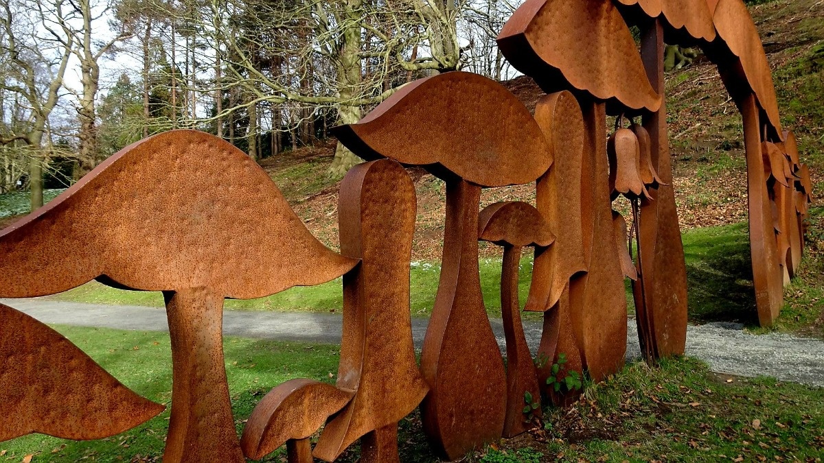 81b12558-4213-4024-9f5b-98b483744116