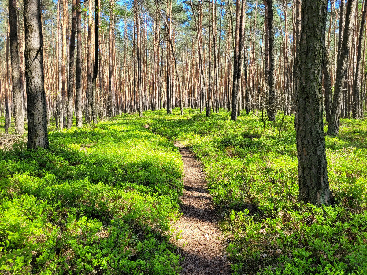 4b82a3a6-bcc5-4c56-9268-c395c54614b6