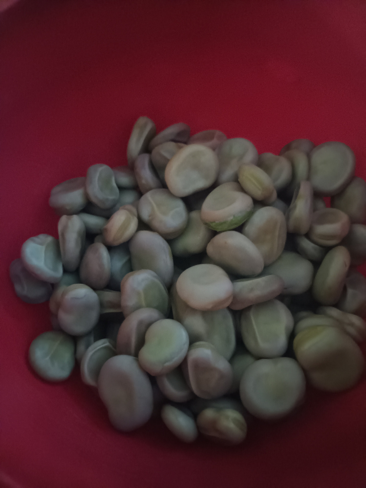 7c629f71-936a-4c25-897f-468bb28ccf64