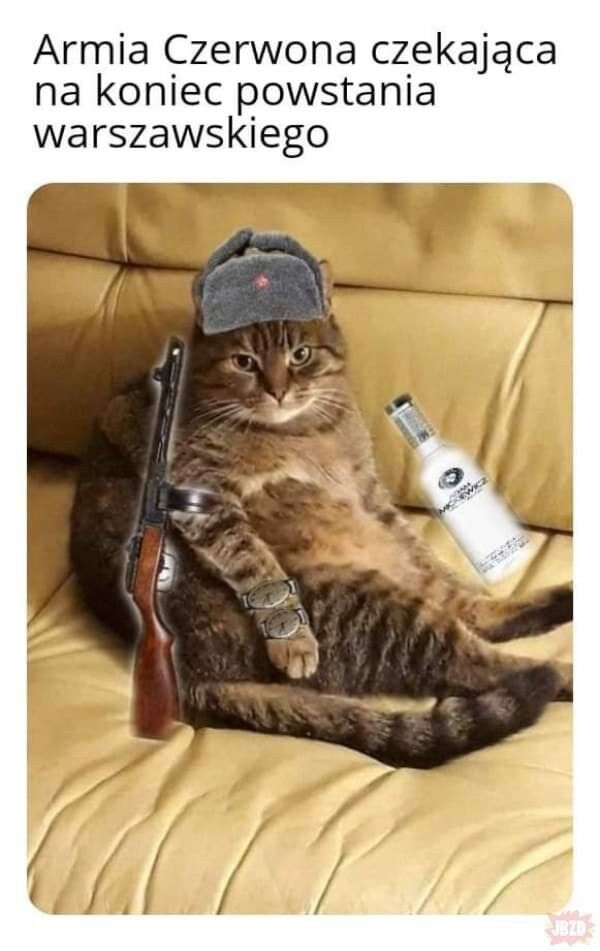 66450d2c-33f0-480b-96a5-260d77944abb