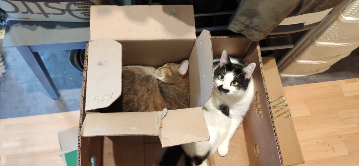 1f68c14f-edb0-4b7a-8ed4-923e294f2966