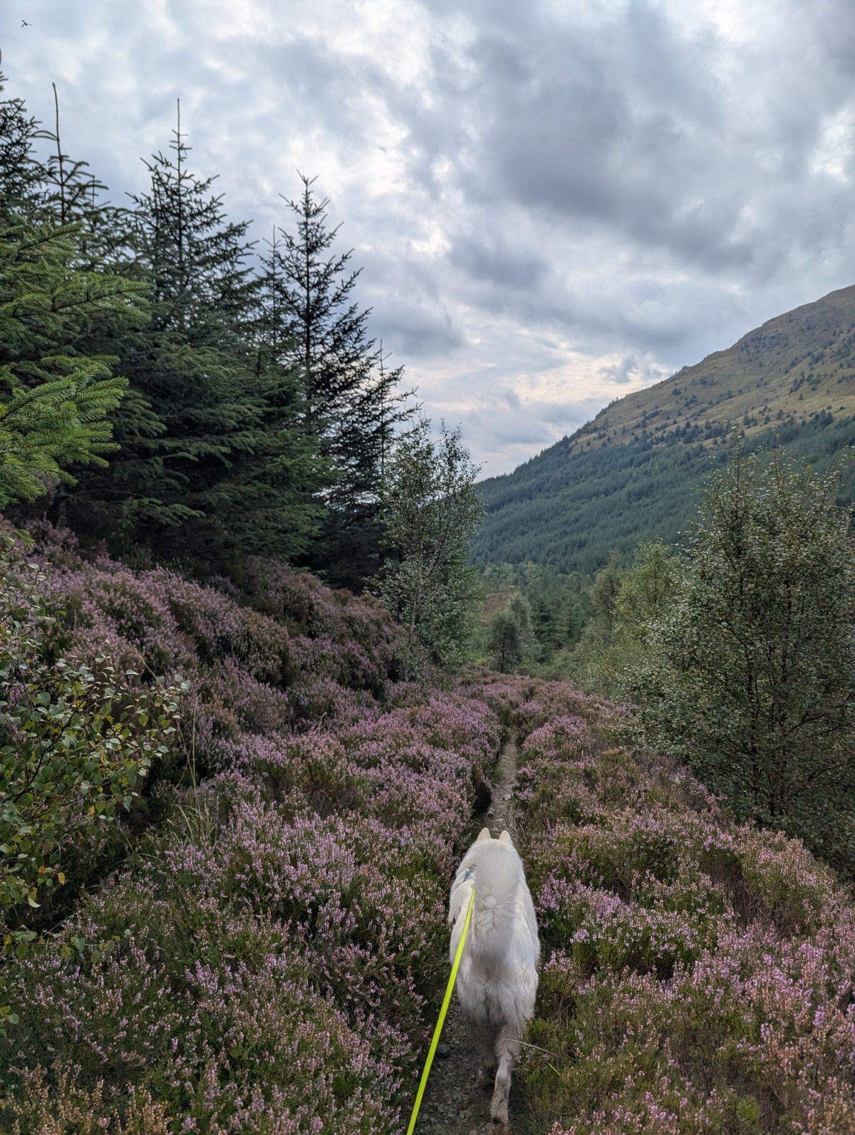 7cdc9d44-0ad8-4c59-b52c-678494007d39