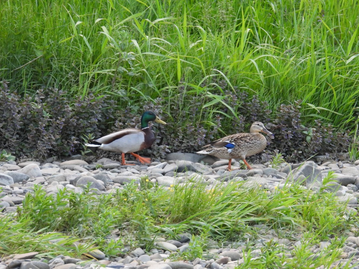 290344c9-6e50-415f-ac20-12ec6a1da025