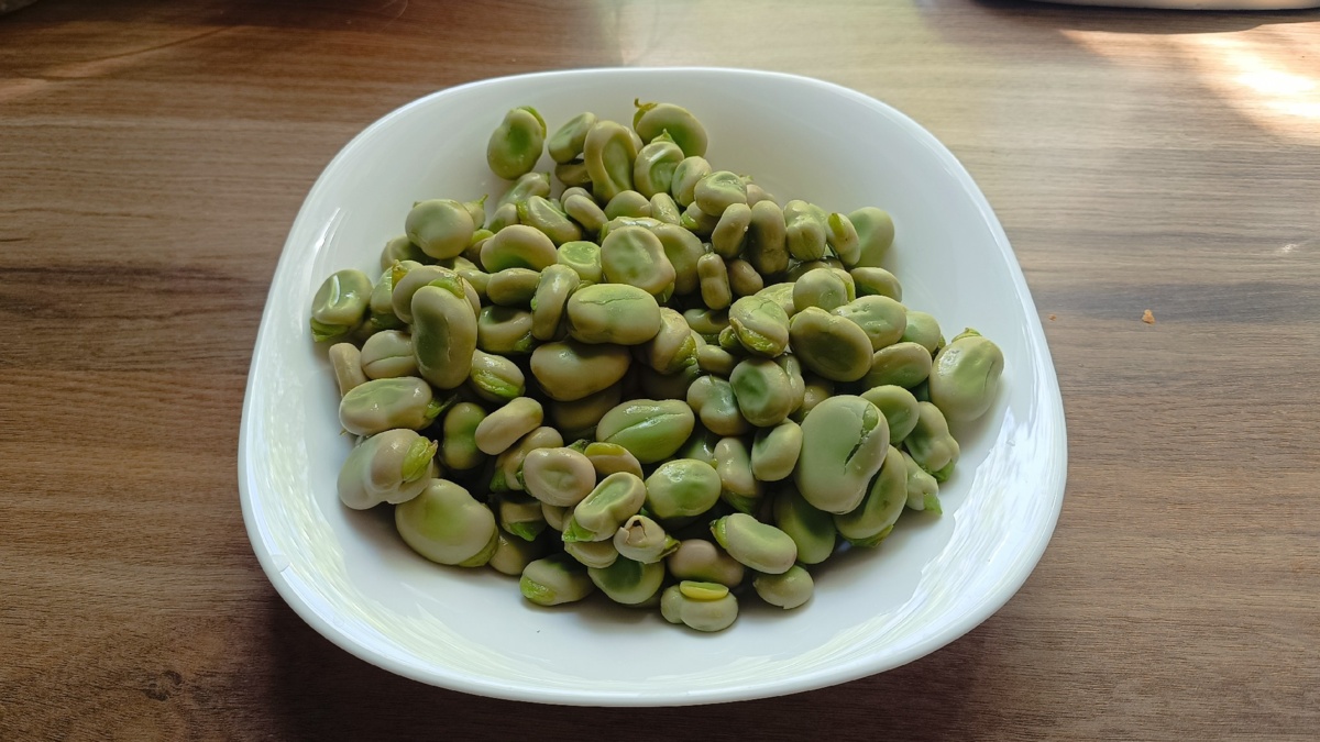 e777e5eb-ab38-4448-a295-e6c0f366a85f