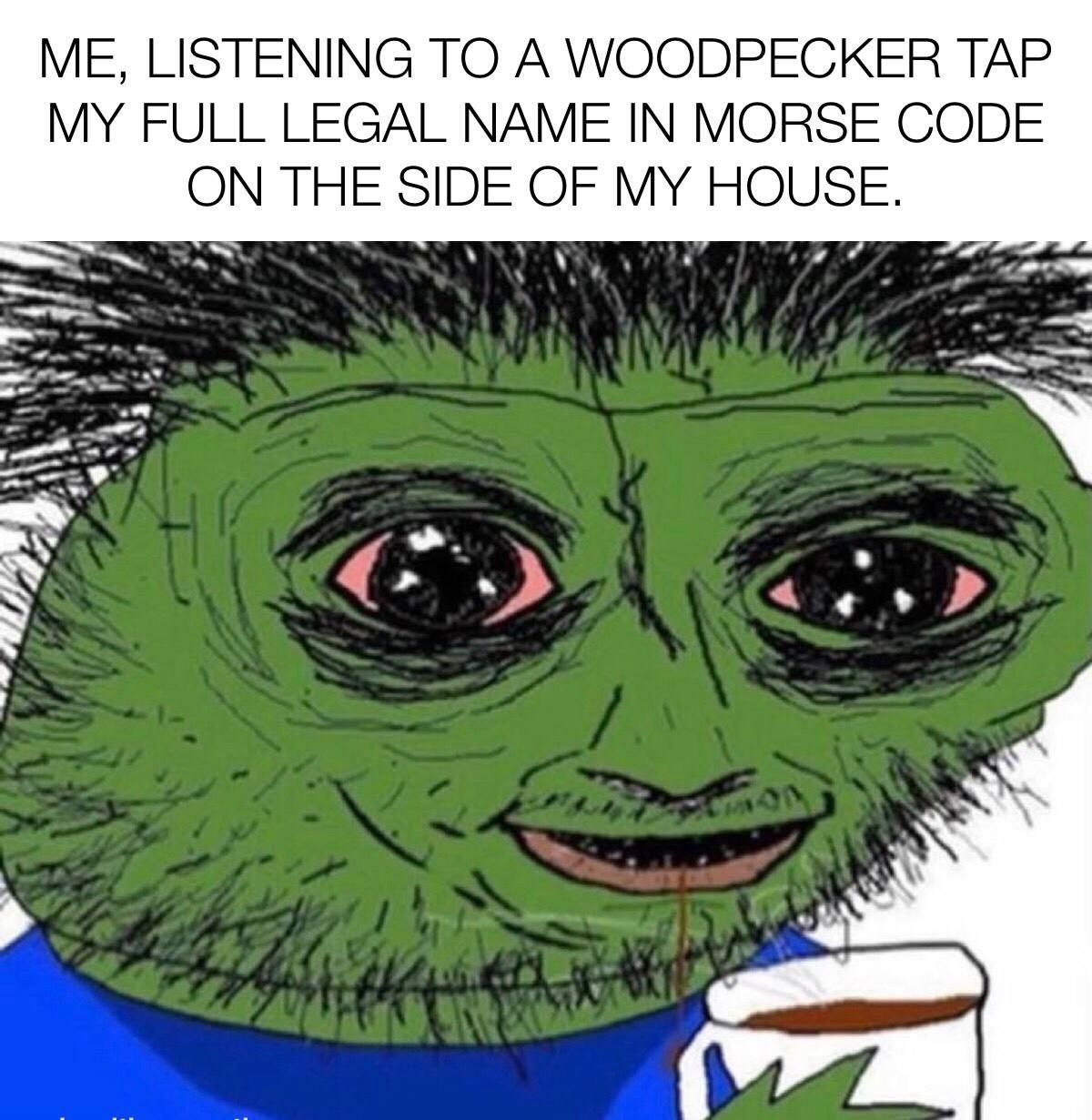 ce03e7f7-0e4d-4354-9006-881a742c2238