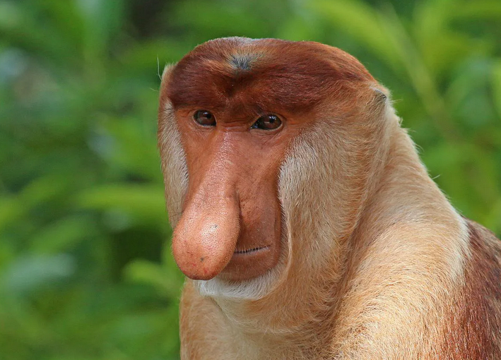 26e5cfc2-2008-45c6-b533-b50c9fbd9c07