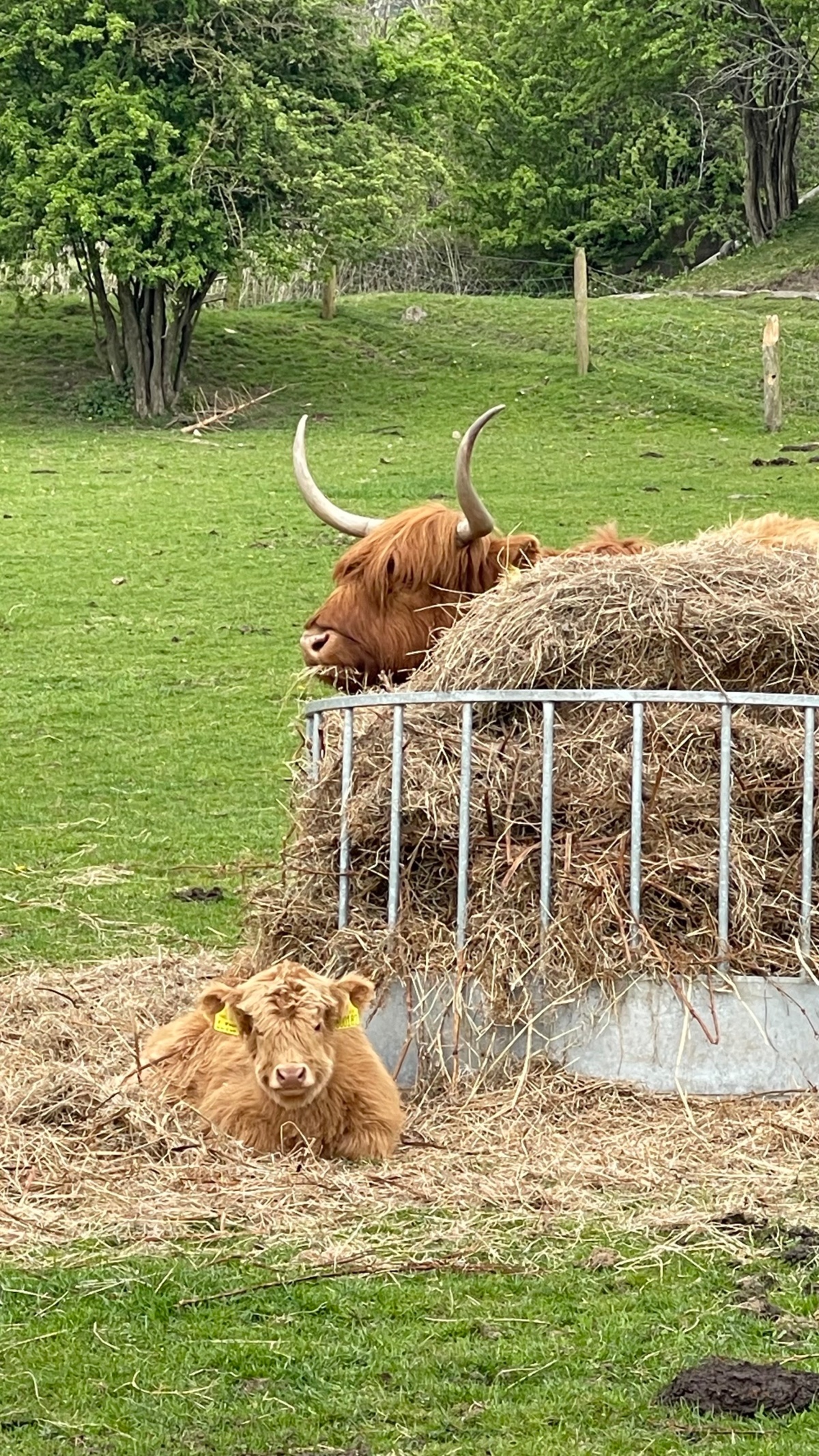 f6c8c18f-4f3b-4399-88d3-4774860fff71