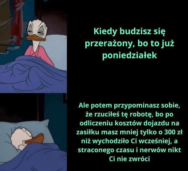 551e2e3e-de61-47f7-8b5c-0f46f15c3ef6