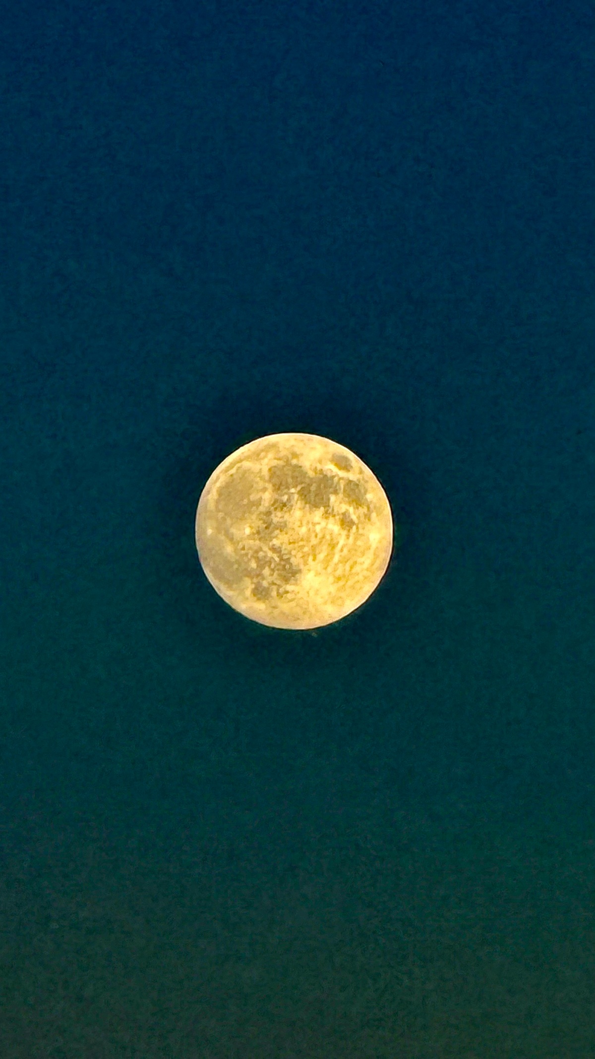 b75550b1-525f-462c-9993-1efb854b5762