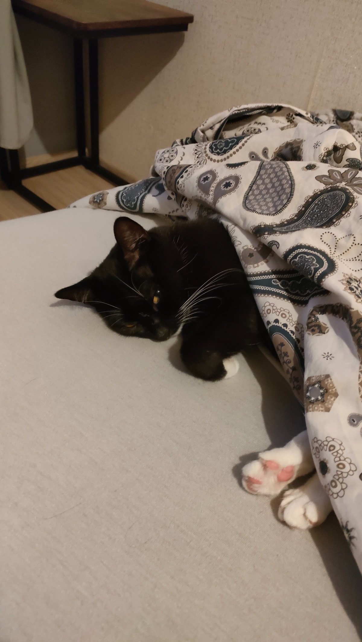 5933866b-01d7-4419-a044-e0fe07c505bd