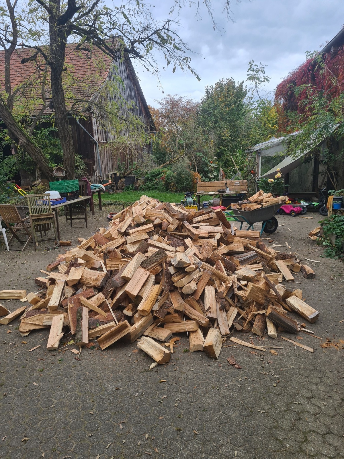 56d4547f-d9f2-4a44-bd0c-e3dc8778afd1