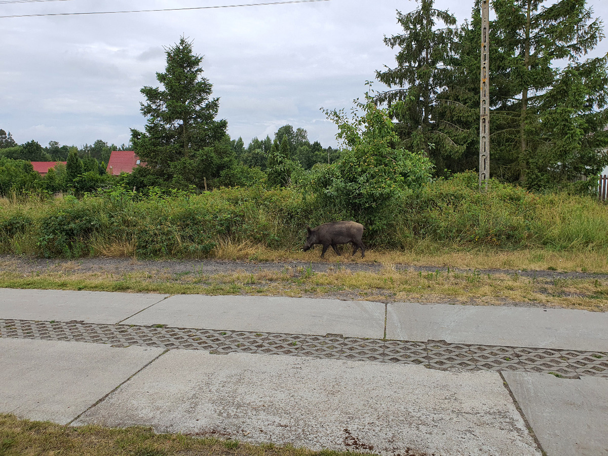 bf953309-1e01-47ec-888e-80f4275df56e