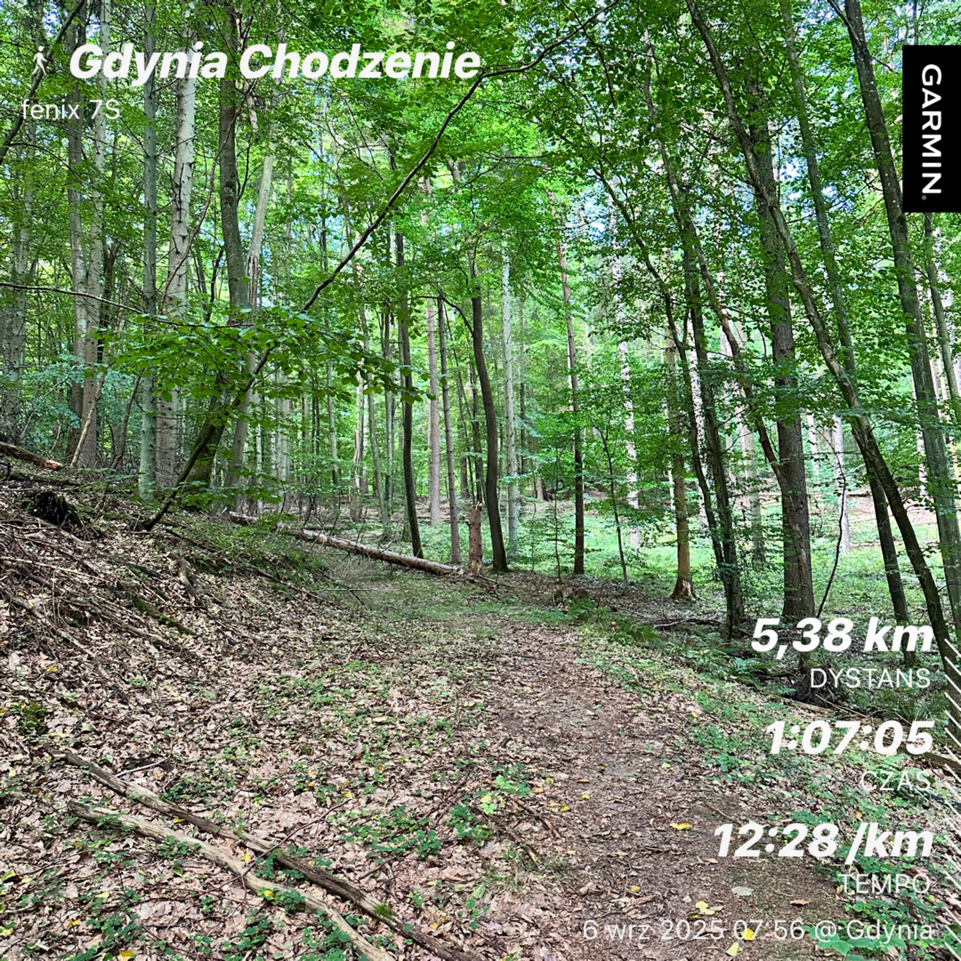 41e07cdd-913c-43b8-b31d-3a724b64cca5