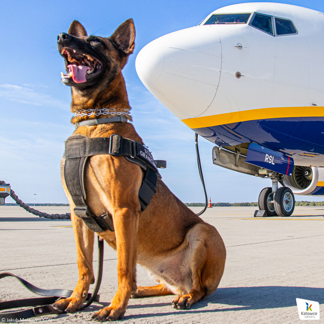 dd91d878-14e4-4424-9854-bd97736531ef