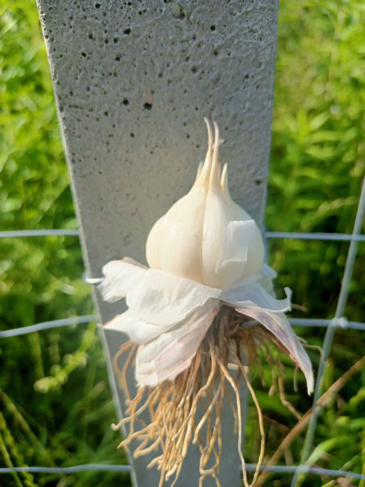 f441b07d-b527-48a9-8bcb-9ebe1cca199f