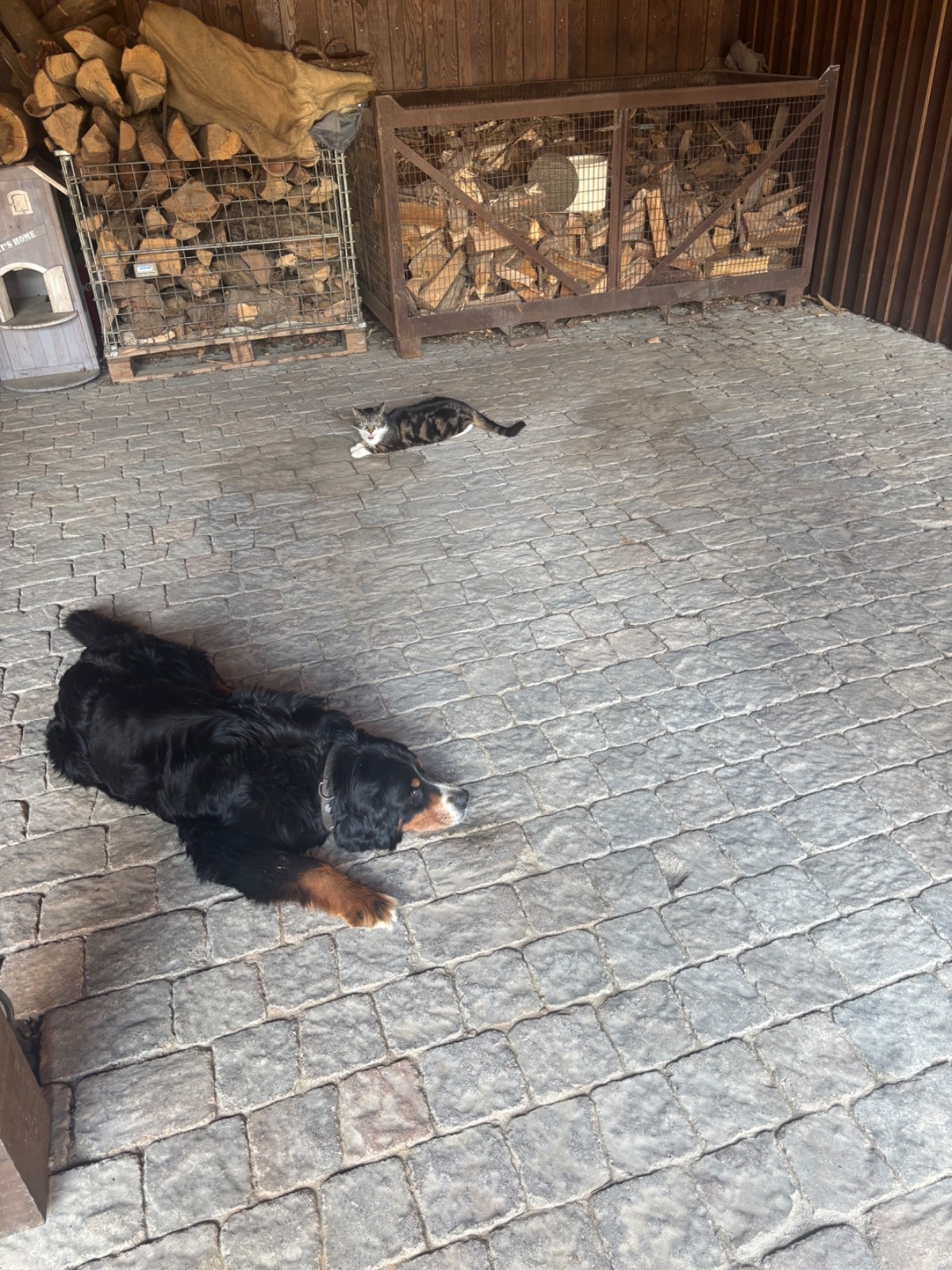 ce091d35-96cf-4373-89b0-6c14cd15c30d