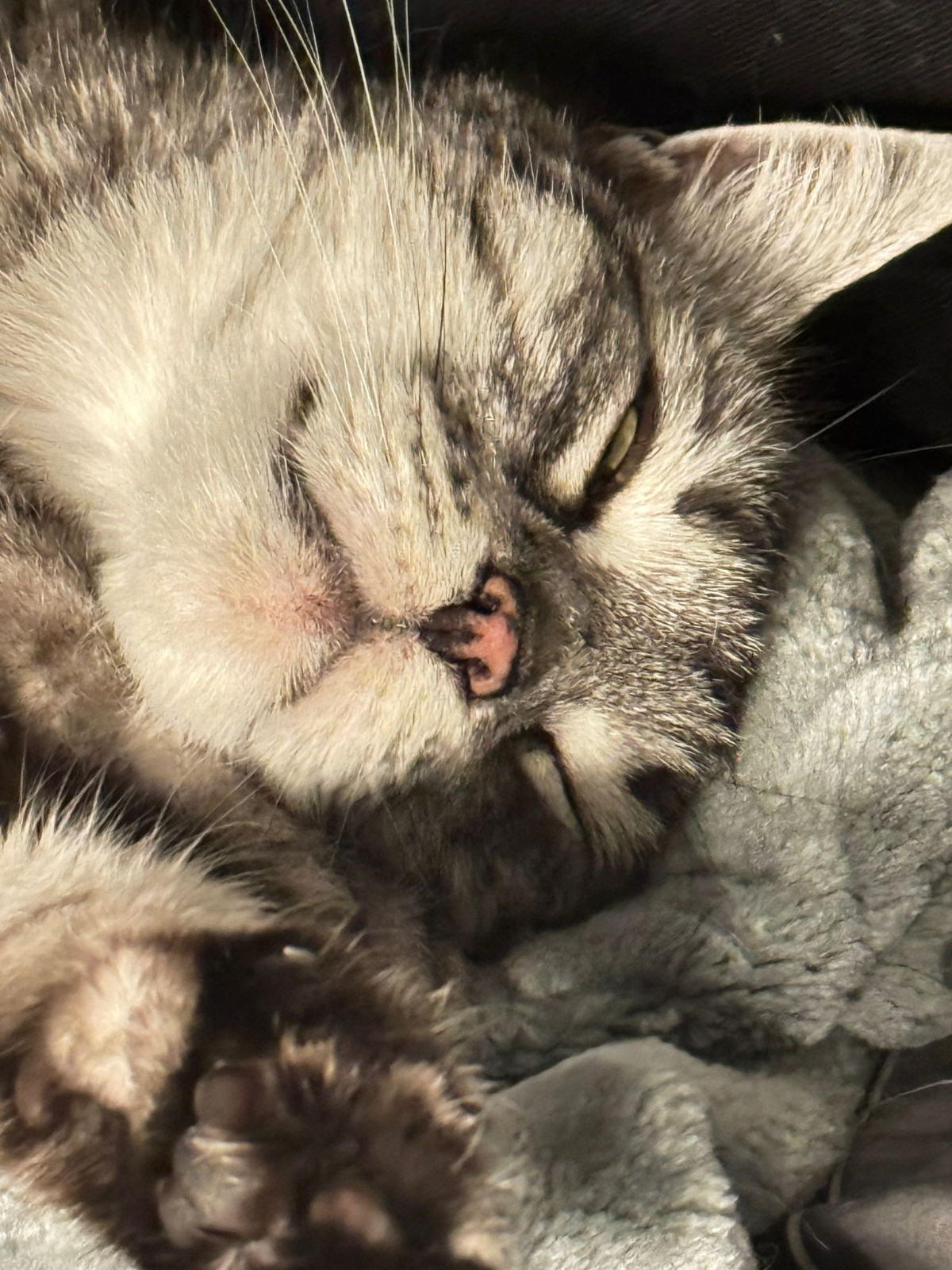 6ca338c0-a471-4290-988a-b87123a8f980